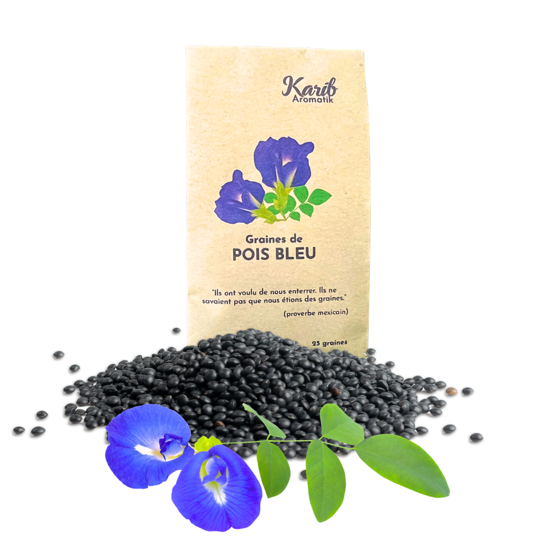 Graines de Pois Bleu
