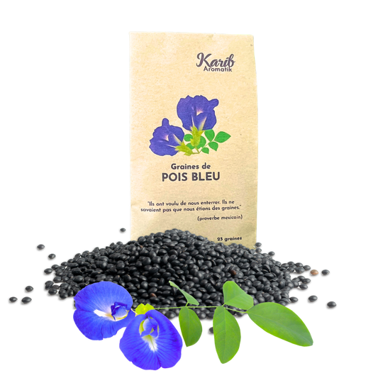 Graines de Pois Bleu