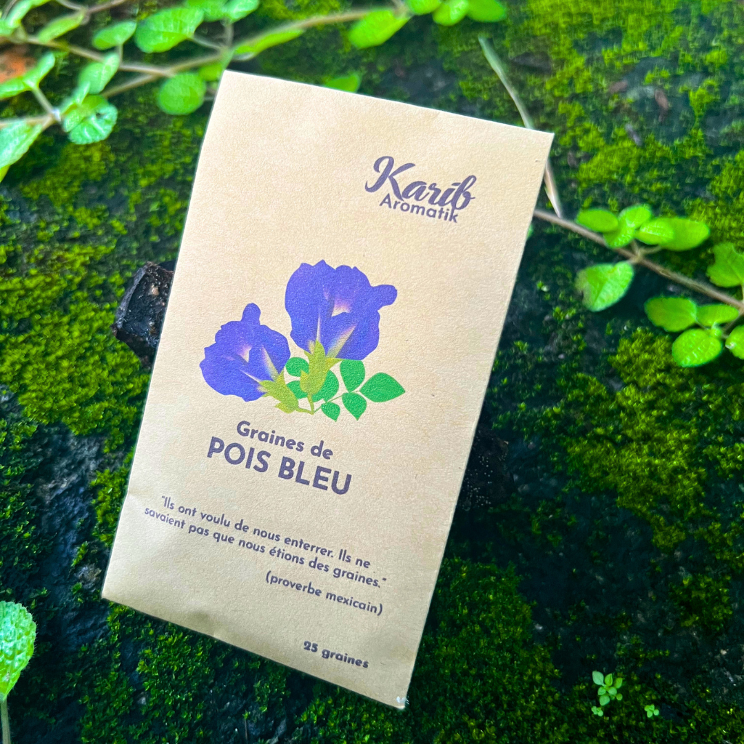 Graines de Pois Bleu